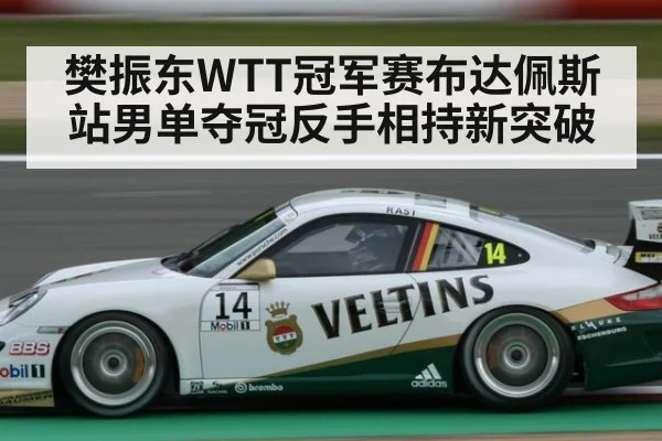 樊振东WTT冠军赛布达佩斯站男单夺冠反手相持新突破 - nine game