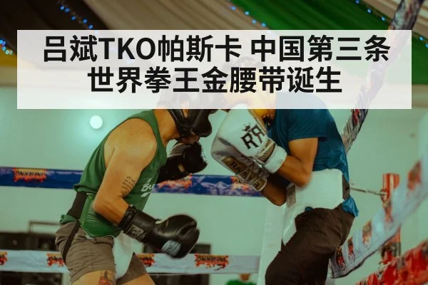 吕斌TKO帕斯卡 中国第三条世界拳王金腰带诞生