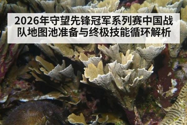 2026年守望先锋冠军系列赛中国战队地图池准备与终极技能循环解析 - nine game
